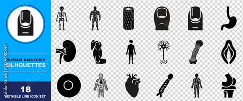 Set of eighteen black human anatomy silhouette icons representing various body parts organs systems and biological structures for medical and educational design projects