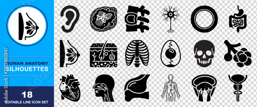 Set of eighteen black silhouette human anatomy icons representing various body parts organs and systems for medical education and healthcare graphic design projects