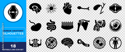 Set of eighteen black human anatomy silhouettes featuring various internal organs cells joints and biological structures for medical education and scientific design projects