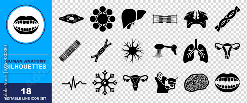 Set of eighteen black human anatomy silhouettes and biological icons representing internal organs cells muscular system and medical symbols for educational and scientific design