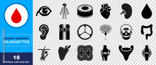 Set of eighteen black human anatomy silhouette icons representing various body parts organs and biological systems isolated on a transparent background for design