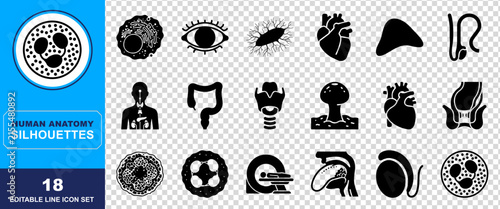 Set of eighteen black human anatomy silhouettes and medical icons representing internal organs cells and biological structures for educational and clinical design projects