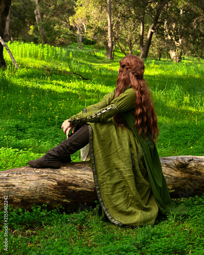 full length portrait of beautiful female model, wearing green medieval historical gown costume with cape. sitting figure pose on tree branch.  Magical lake forest background 