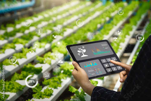 Farmer Using Digital Tablet to Monitor Smart Agriculture and IoT Crop Data