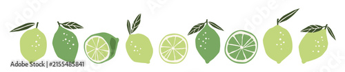 Fresh Lime Fruit Collection with Leaves Vector Illustration