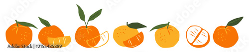 Orange Fruit Collection with Leaves Vector Illustration