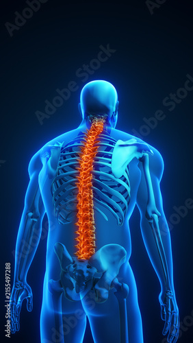 Human with Back Pain and Highlighted Spine Due to Slouching and Poor Posture 3D Illustration