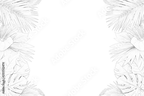 Detailed fern leaf sketch with delicate fronds and veins is presented on transparent background foliage botanical herbarium leaves plant flora drawing illustration vector