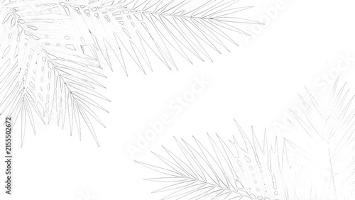 A detailed botanical sketch of a fern leaf with delicate fronds is presented on transparent background foliage drawing illustration plant leaves intricate organic