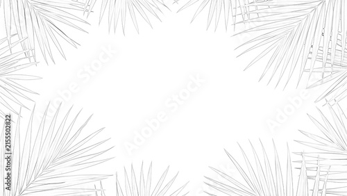 A detailed botanical sketch of a fern leaf rests delicately on transparent background foliage drawing illustration plant leaves flora nature organic intricate delicate