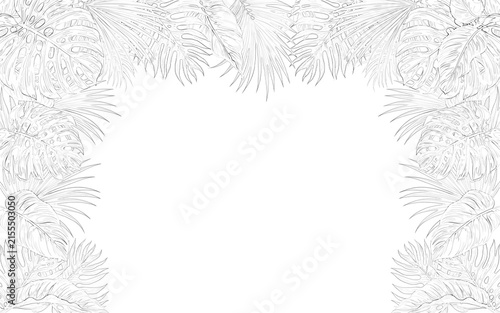A detailed botanical sketch of a fern leaf rests on transparent background foliage drawing illustration plant leaves flora vegetation nature organic intricate delicate