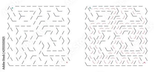 Maze pattern with intricate paths and a smaller maze inset  