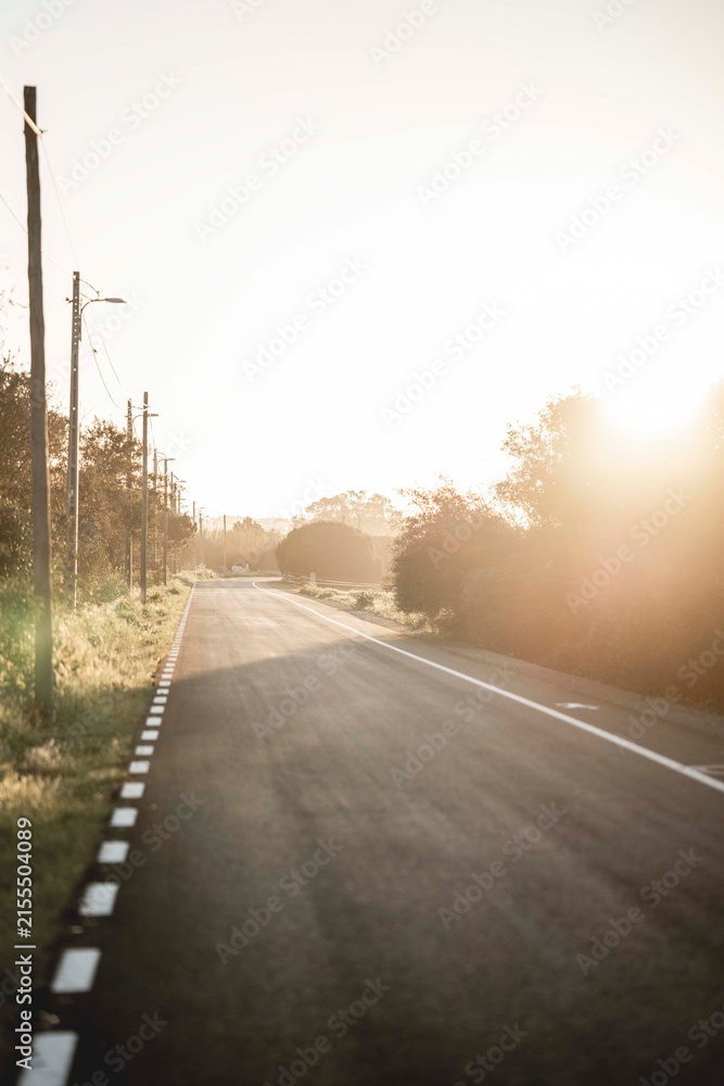 Fototapeta premium Empty rural road at golden hour with sun flare and utility poles, backlit countryside perspective and long shadows