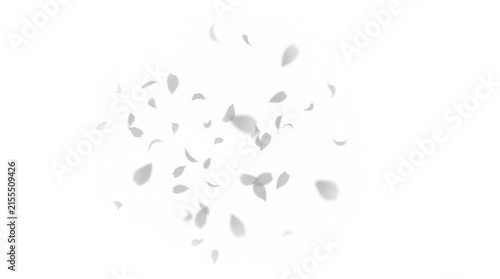 Ethereal white flower petals falling on white background. Delicate floating floral elements, soft spring blossom petals in motion, romantic wedding overlay.