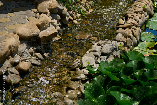 Fotografie Babbling, ennobled stream flowing among stones and boulders