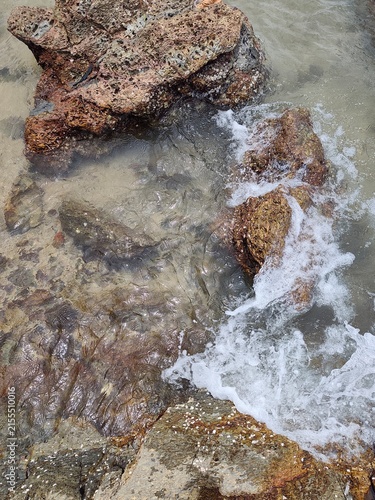 Konstfotografi High angle top-down view looking into a narrow sandy crevice surrounded by barnacle-covered coastal rocks and clear incoming sea water