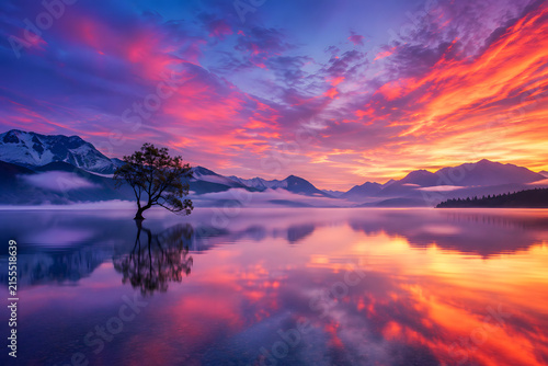 Serene mountain lake reflects vivid pink, purple, and orange sunset clouds, with a solitary tree creating a tranquil atmospheric landscape.
