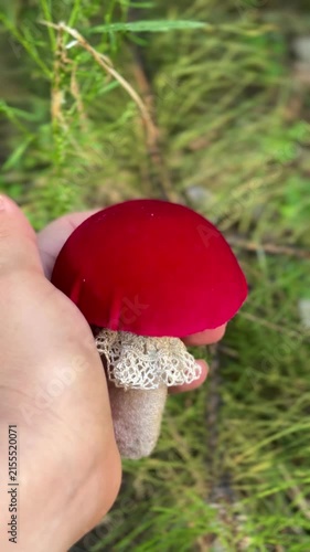 Red decorative mushroom figurine, festive holiday table decor
