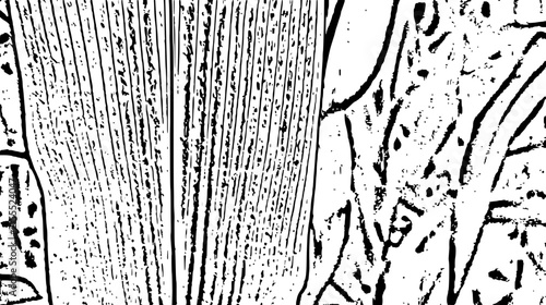 grunge background with a pattern
