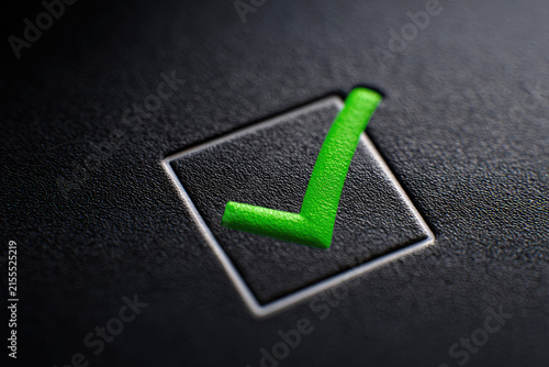 Green voting tick in a box. Checkbox. Democratic elections, referendum. The right to choose, change of power. Necessary quality criteria approval symbol. Checklist for verification and self-discipline