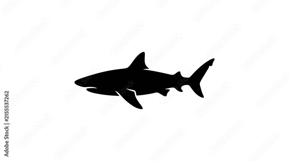 Fototapeta premium Silhouette of a great white shark swimming underwater.