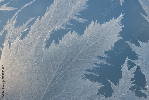 Macro Frost Edge Against Open Blue Background