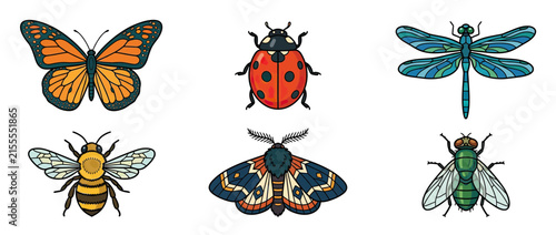 Assorted Insects Collection Isolated on Transparent Background
