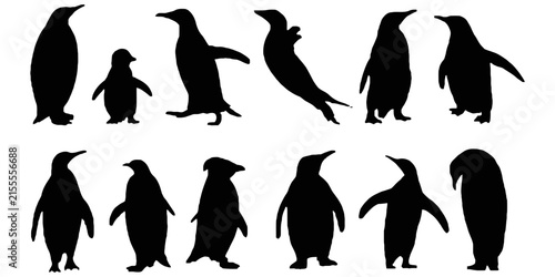 Картината върху платно Set of ten penguin silhouettes in various standing and walking poses, isolated o