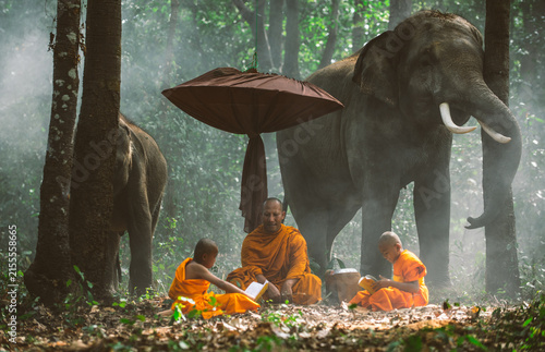 Photography Thai monks walking in the jungle with elephants