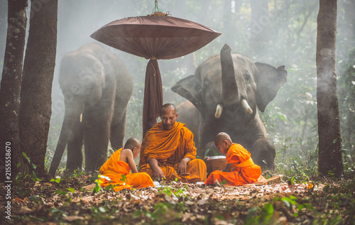 Obraz na płótnie Thai monks studying in the jungle with elephants