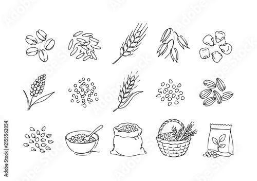 Harvest Grains Sketches, one-line drawing set of exactly 15 hand-drawn agricultural icons arranged in staggered rows: wheat kernels, long-grain rice, barley head, oat grains, corn kernels, millet