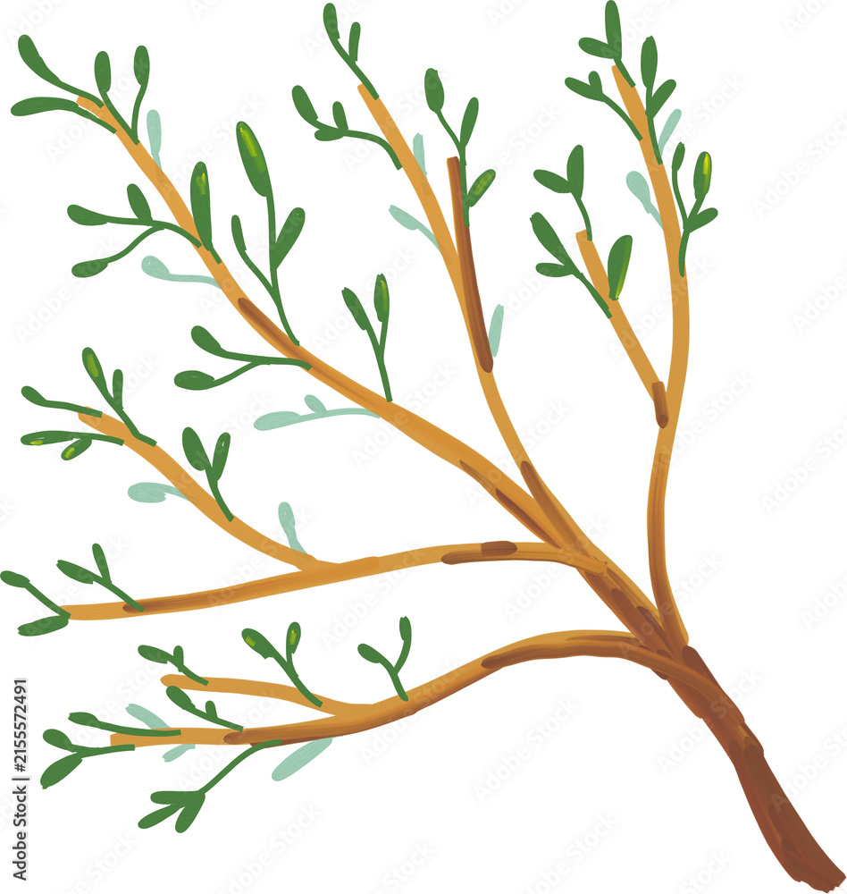 Fototapeta premium Hand Drawn Tree Branch