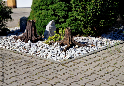 Transforming garden stumps or weathered wood into decorative features—like stumpery blends organic textures with landscape design. Design Elements
​Natural Weathered Wood: Upturned root bases or hollo