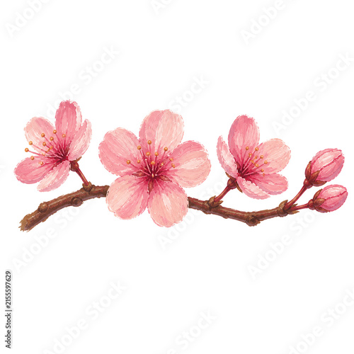 pink cherry blossom