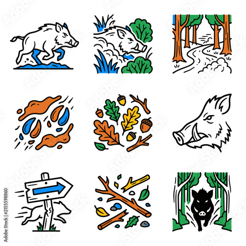 Wild boar in forest nature illustrations