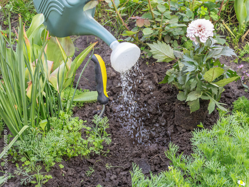 Gardener watering a spot in a flowerbed to plant a flower.