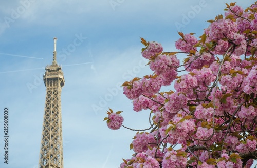 Foto Tour & Fleurs