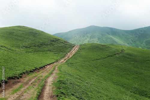 Dirt road winding through green mountain hills