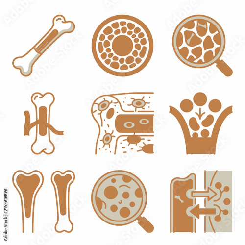 Medical bone and cell illustrations set