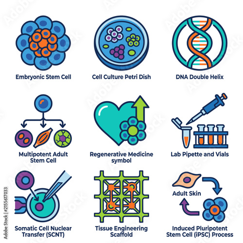 Stem Cell and Regenerative Medicine Icons