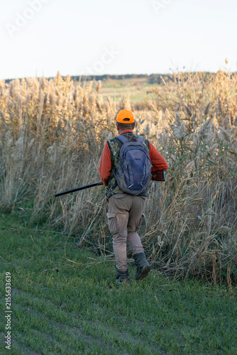 A hunter with a gun in camouflage clothing. A gentleman with a gun, medium shot, unrecognizable.
