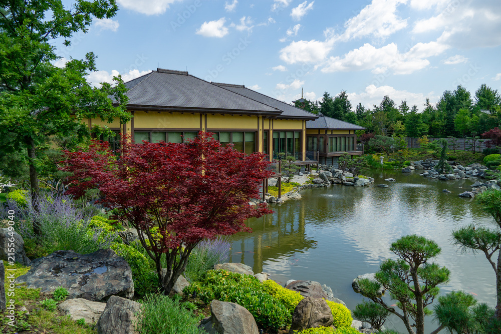 Fototapeta premium Beautiful Japanese garden with lake Oike, bonsai pines and red-leaved maple. Yellow shrubs, stone embankments and wooden building in the background in public landscape park Krasnodar or Galitsky