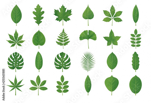 Minimalist Green Leaf Vector Icons Set – Flat Botanical Symbols Isolated on White