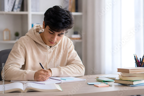 Teenage boy studying at home desk