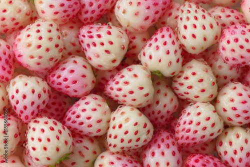 Fresh Pineberries with Pink Blush Dense Flat Lay