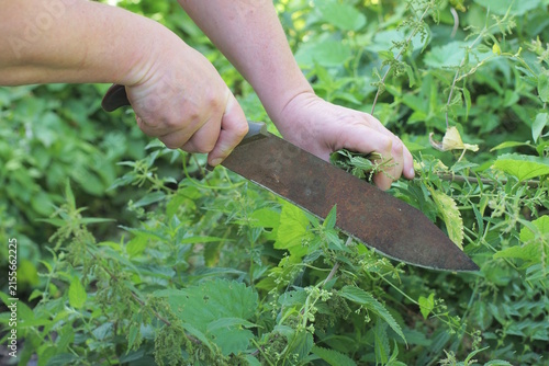 Fotografía Hand of male worker with rusty brown iron big knife machete cutting green grass