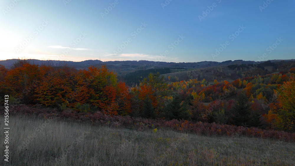 Naklejka premium Autumn colored trees and countryside landscape scenery.