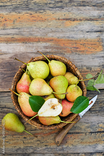 Pears harvest