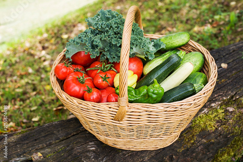 Vegetables basket harvest