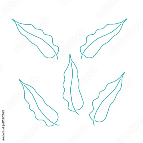 Group of five green outline leaves illustration art
